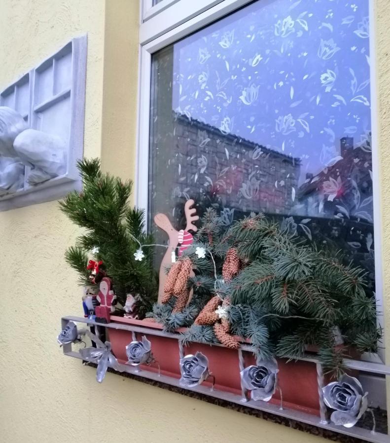 Usis_Ferienwohnung Im Harz Quedlinburg Buitenkant foto
